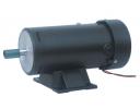 MOTOR - 113 PM DC MOTOR